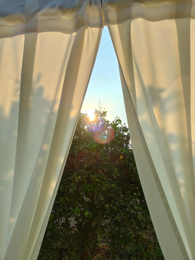 Agribarocco Hotel Ното Екстериор снимка