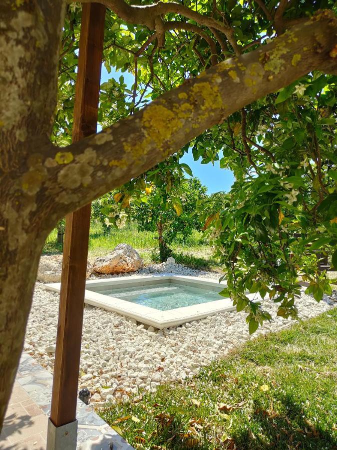 Agribarocco Hotel Ното Екстериор снимка